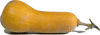 Orange butternut