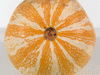 Cucurbita mixta Cushaw orange; ombilics
