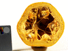 Cucurbita mixta Cushaw orange; coupes