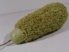 Lagenaria siceraria Verruqueuse de lile Maurice; fruits
