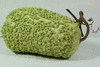 Lagenaria siceraria Verruqueuse de lile Maurice; fruits