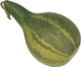 African kettle gourd