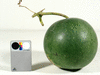 Lagenaria siceraria Canon ball; fruits