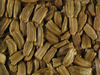 Lagenaria siceraria Poire striée 4inch; graines