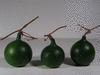 Lagenaria siceraria Peq. Pescoço liso; fruits