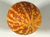 Cucumis melo Melon du Dudaïm; ombilics