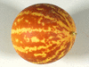 Cucumis melo Melon du Dudaïm; pedoncules