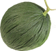 Cucumis melo Melon d'Espagne vert de Nol; fruits