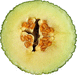 Cucumis melo Melon d'Espagne vert de Nol; coupes