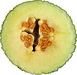 Cucumis melo Melon d'Espagne vert de Noël; coupes