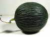 Cucumis melo Melon d'Espagne vert de Nol; fruits
