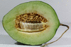 Cucumis melo Melon d'Espagne vert de Noël; coupes