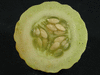 Cucumis melo flexuosus Tortarello abruzzese chiaro; coupes