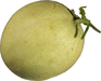 Honeydew ( orange flesh )