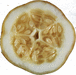 Cucumis sativus Concombre lemon; coupes