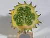 Cucumis metuliferus Kiwano sauvage; coupes