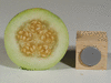Praecitrullus fistulosus Tinda; coupes