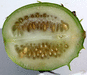 Cucumis zambianus ; coupes