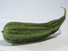 Luffa acutangula Ping Ann; fruits