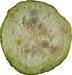 Luffa cylindrica Courge ponge; coupes