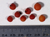 Zehneria mucronata ; fruits