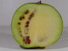 Citrullus lanatus Pastèque à confire de Vendée; coupes