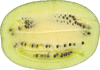 Citrullus lanatus Pastèque à confire à graines vertes; coupes