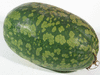 Citrullus lanatus Pastque  confire  graines vertes; fruits