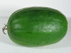 Citrullus lanatus Klondike blue ribbon; fruits