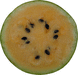 Citrullus lanatus Montain sweet yellow; coupes