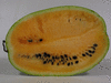 Citrullus lanatus Montain sweet yellow; coupes
