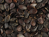 Citrullus lanatus Montain sweet yellow; graines